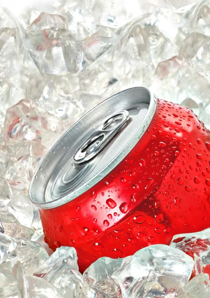 MSC Room Service Menu Page 24